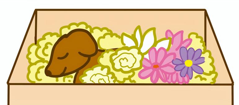 犬　棺 棺,犬,飼い犬のイラスト素材