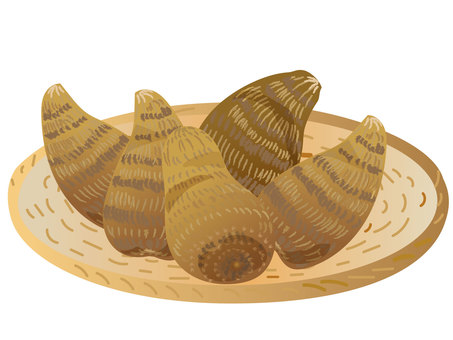 冬の味覚・土付き掘りたて里芋 里芋,こいも,土付き,採りたて,ざる,冬,味覚のイラスト素材