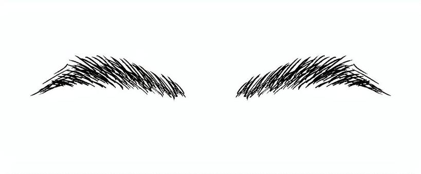 太眉（黒） 眉,毛,黒,アイブロウ,メイク,顔のイラスト素材