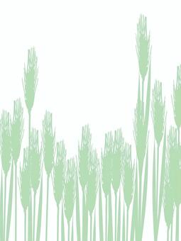 青々した緑の麦穂シルエットmugi027 麦穂,青々,リアル,緑,シルエット,ナチュラル,お洒落,自然,植物,大人っぽいのイラスト素材