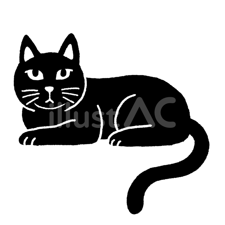 黒猫 黒猫,黒,猫のイラスト素材