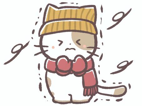 寒い冬に震えるマフラーした動物の猫 寒い冬に震えるマフラーした動物の猫 冬,寒い,震える,12月,1月,2月,風,猫,動物,生き物のイラスト素材
