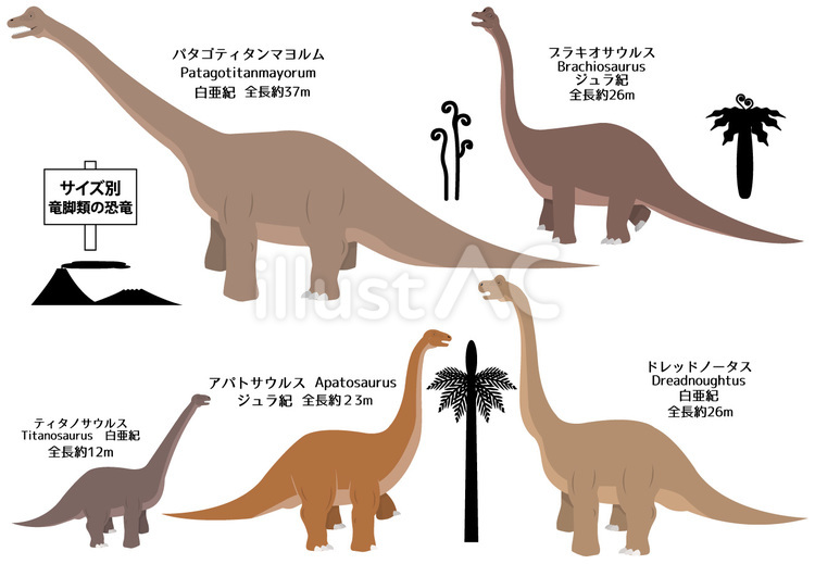 サイズ別　陸上の大型恐竜の竜脚類達 恐竜,白亜紀,ジュラ紀のイラスト素材