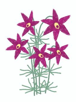 オキナグサ A 翁草,シンプル,えんじ色,かわいい,きれい,グリーン,山野草のイラスト素材