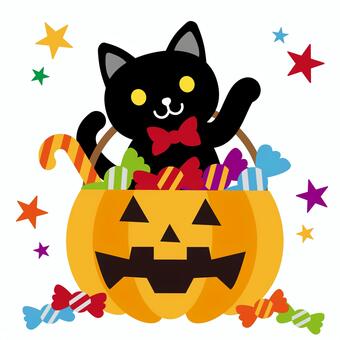 ハロウィン黒猫とかぼちゃのお菓子 ハロウィン,黒猫,猫,ねこ,かぼちゃ,カボチャ,ジャックオーランタン,お菓子,キャンディ,飴のイラスト素材