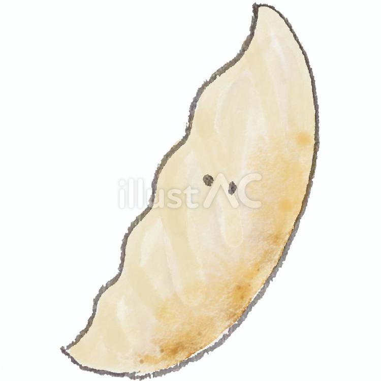 水彩で描いたギョウザ ギョウザ,焼き餃子,点心のイラスト素材