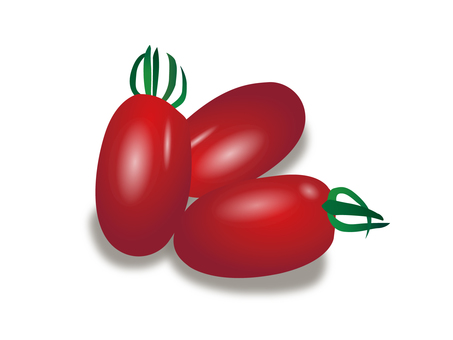 トマト トマト トマト,野菜,夏のイラスト素材