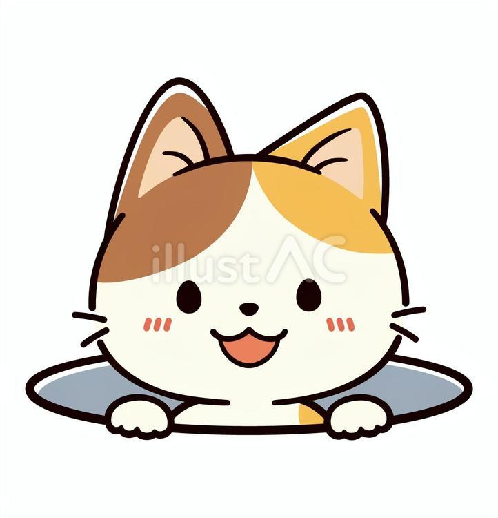 ひょっこりと出てこちらを見る可愛い三毛猫 猫,ひょっこり,穴のイラスト素材