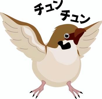 雀　　 雀,小鳥,野鳥,かわいい,羽,羽ばたく,正面,鳴き声,リアルのイラスト素材