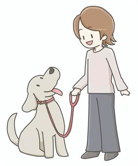 リードに繋がれた犬 犬,リード,散歩,動物病院,マナー,大型犬,dogのイラスト素材