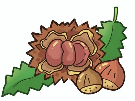栗のイラスト 栗,食べ物,葉,果樹,秋のイラスト素材