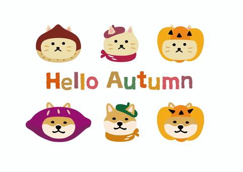 秋の装いと被り物の猫と犬 秋,ハロウィン,アイコン,猫,犬,あしらい,10月,11月,おしゃれ,手描きのイラスト素材