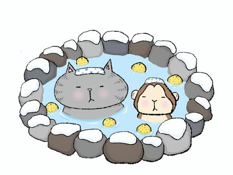 雪見風呂withサルさん（サバトラ） 温泉,露天風呂,冬,雪景色,天然,柚子,お風呂,入浴,旅行,旅館のイラスト素材