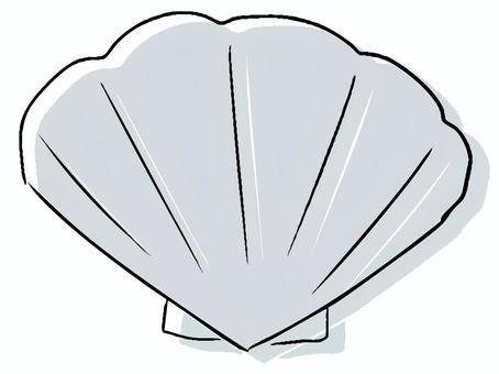Illustration, shell, shellfish, creatures, 