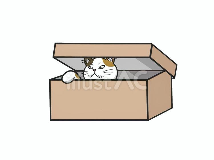 箱からそっと覗いている三毛猫(ネコ) 猫,動物,生き物のイラスト素材