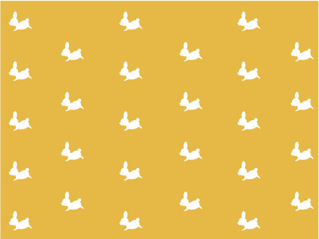 Bouncing rabbit / background color / color, cute, frame, frame, JPG and PNG