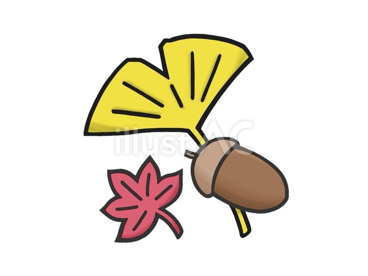 秋をイメージする団栗と紅葉と銀杏 どんぐり,葉っぱ,枯葉のイラスト素材