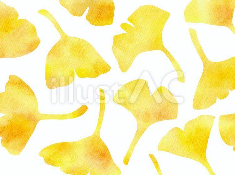 イチョウイラスト No 無料イラストなら イラストac