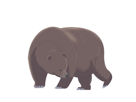 ヒグマ（振り向く・主線なし）