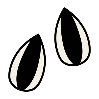 二個のひまわりの種 種,ひまわりの種,アイコン,シンプル,イラスト,素材,かわいい,挿絵のイラスト素材
