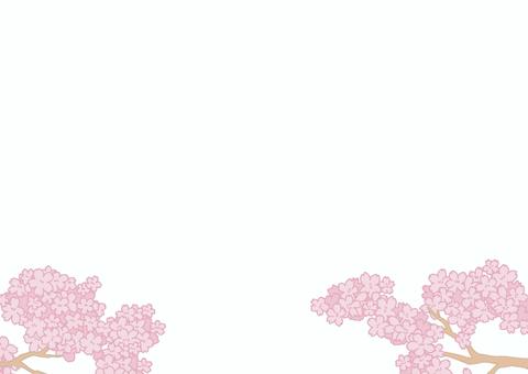 桜の花フレーム背景(下部) 桜の花フレーム背景(下部) 桜,春,花,フレーム,背景,木,枝,花びら,飾り,装飾のイラスト素材