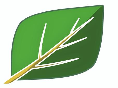 葉っぱ 葉っぱ,植物,緑,エコ,フレッシュ,癒やし,自然,環境,初夏,葉のイラスト素材