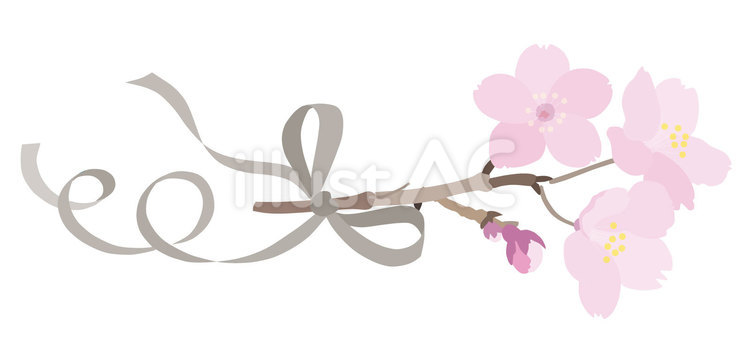 定番素材236＿桜とリボン 花,桜,リボンのイラスト素材