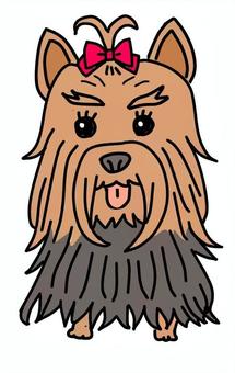 ヨークシャーテリアロング ヨークシャーテリアロング 犬,動物,ペット,かわいい,デフォルメ,わんこ,キャラクター,毛色,手描き,ヨークシャーテリアのイラスト素材
