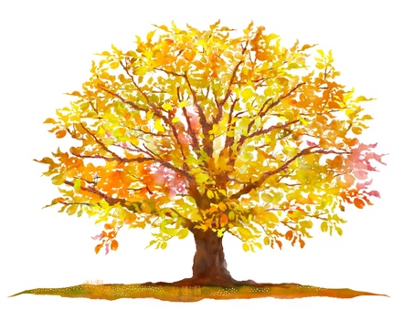 リンゴの木のイラスト紅葉 木,樹木,林檎,リンゴ,紅葉,秋,植物,大木,幹,枝のイラスト素材