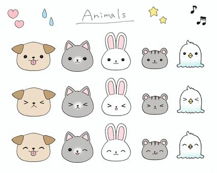 動物(いろんな表情) 動物,犬,猫,うさぎ,ハムスター,インコ,鳥,動物病院,アニマル,かわいいのイラスト素材