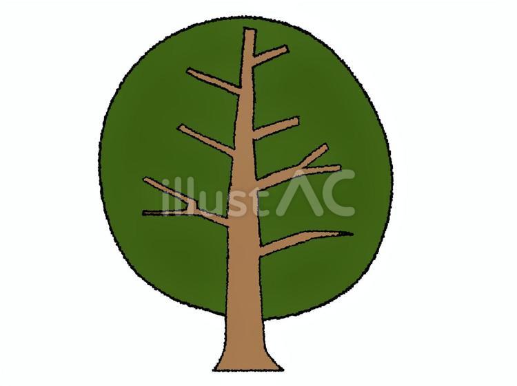 木 木,植物,枝のイラスト素材