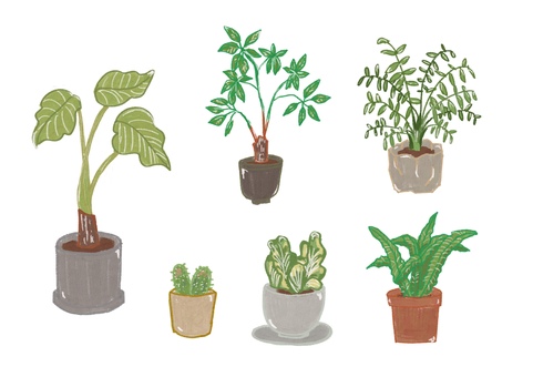 観葉植物 イラスト 観葉植物 イラスト 植物,観葉植物,グリーン,緑,サボテン,クワズイモ,テーブルヤシ,ヤシの木,木,葉っぱのイラスト素材