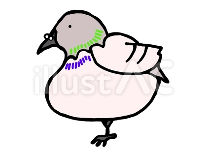 鳩