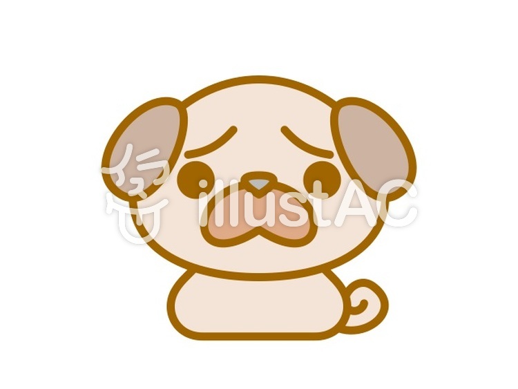 パグちゃん　茶 犬,パグ,動物のイラスト素材