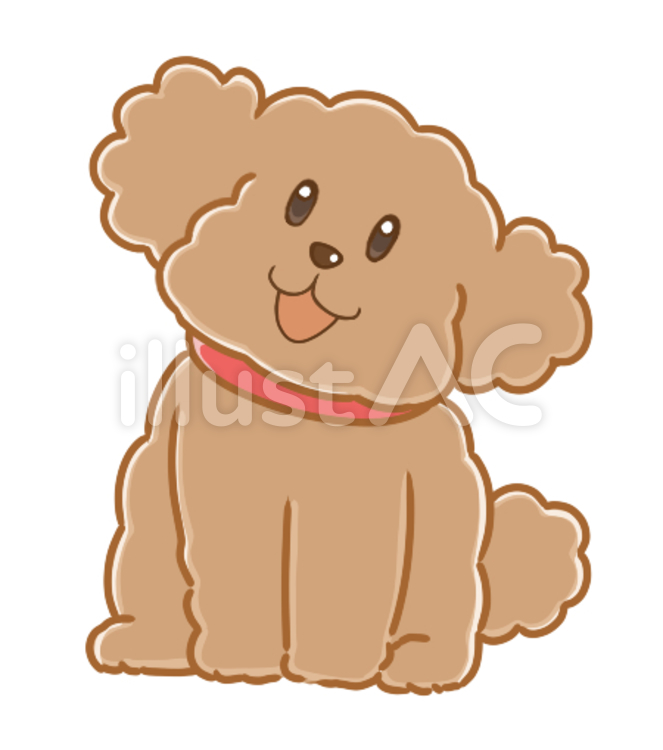 おすわりトイプードル２　茶 ペット,犬,トイプードルのイラスト素材