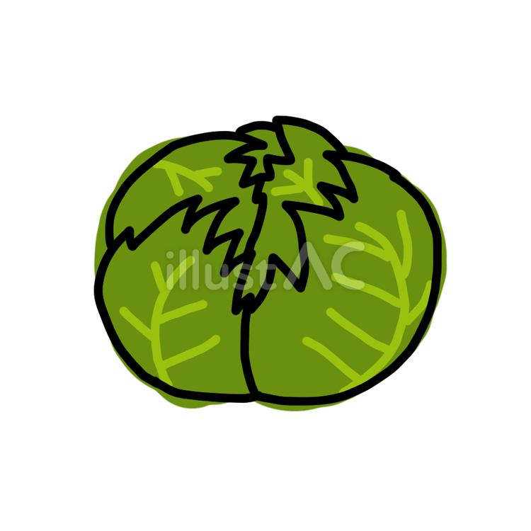 レタス レタス,アイコン,野菜のイラスト素材