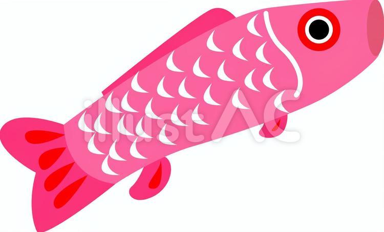 188鯉のぼり（ピンク色） 5月5日,祝日,端午の節句のイラスト素材