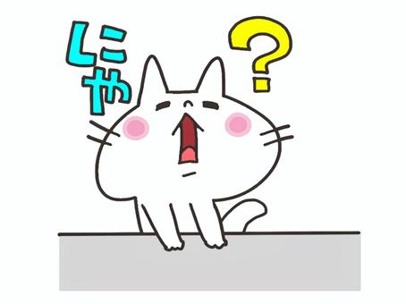 疑問に思う猫