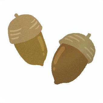 どんぐり どんぐり,秋,木の実,パステル調,植物のイラスト素材