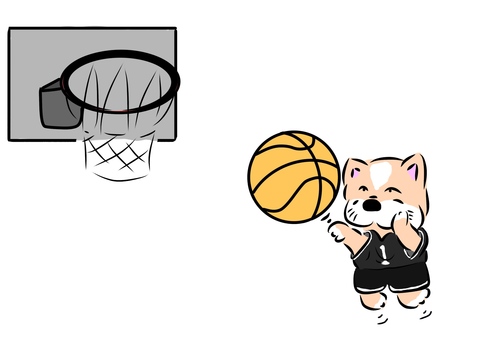 Flexible basketball, JPG Flexible basketball, बास्केटबाल, फ्रेंच बुलडॉग, कुत्ता, JPG