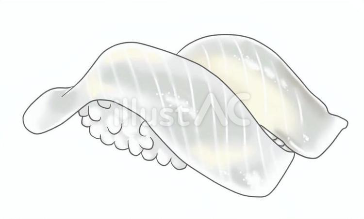 寿司ネタのイラスト　イカ イカ,寿司,握りのイラスト素材