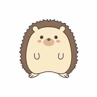 ハリネズミ ハリネズミ,動物,かわいい,マスコット,哺乳類のイラスト素材