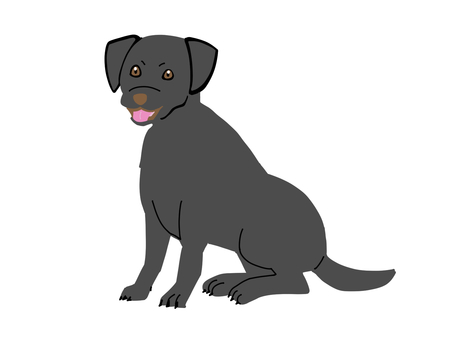 黒いラブラドールレトリバー 黒,ラブラドールレトリバー,犬,ペット,主線なし,ポップ,シンプル,単体のイラスト素材