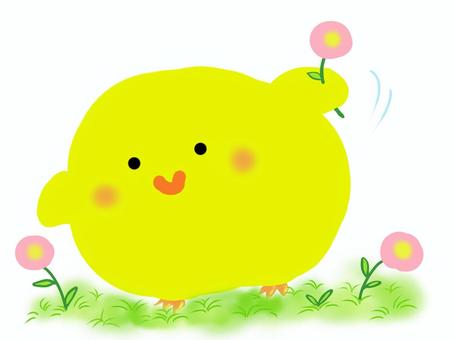 かわいいひよことピンク色の花 ひよこ,黄色,かわいい,楽しい,笑顔,鳥,動物,生き物,花,ピンクのイラスト素材