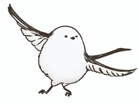 シマエナガ4 シマエナガ,鳥,かわいい,おちゃめ,羽根,ふわふわ,手描き,しっぽ,シンプル,翼のイラスト素材