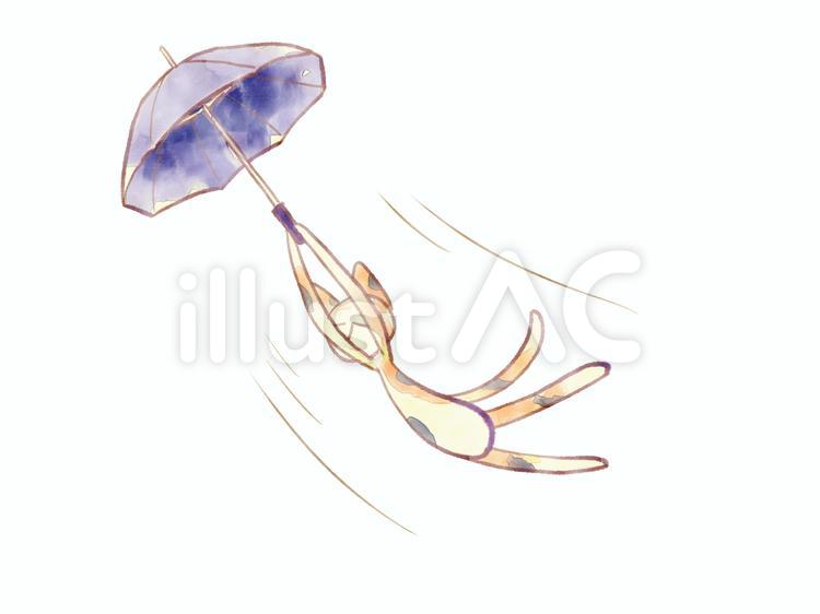 飛ばされ猫 猫,かわいい,傘のイラスト素材