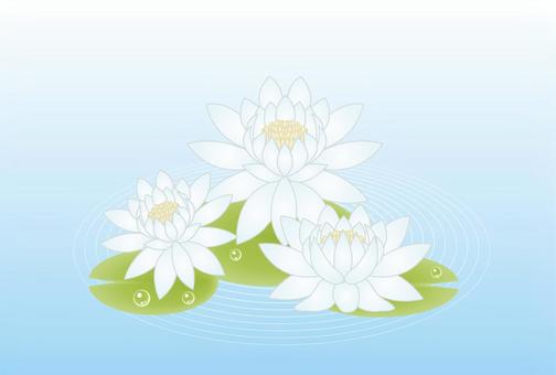 正月素材122 蓮,蓮華,花,植物,きれい,青,夏のイラスト素材