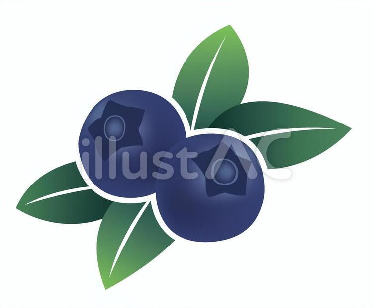 ブルーベリーイラスト No 無料イラスト フリー素材なら イラストac