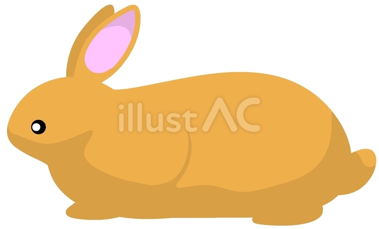 アナウサギ 小動物,ペット,うさぎのイラスト素材