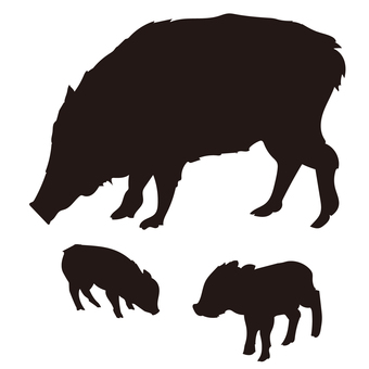 イノシシとウリ坊 イノシシ,猪,ウリ坊,親子,シルエット,親,子供,危険,注意,注意喚起のイラスト素材